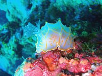 20080712松田７.jpg