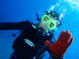 1130dive-15.jpg