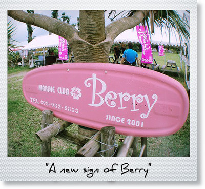 120428berry.jpg