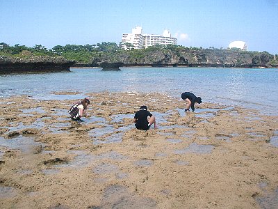 水溜りじーっ２.jpg