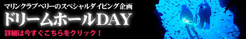 恩納村ドリームホール