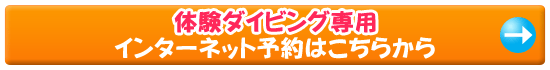 体験ダイビングのインターネット予約はこちらから