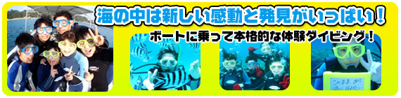 体験ダイビング