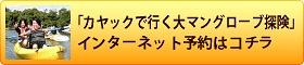 カヤックで行くマングローブカヤック探険をインターネット予約する