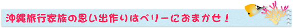 沖縄家族旅行の思い出作りはベリーにおまかせ！