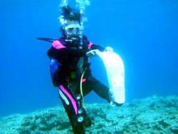 沖縄の青い海でダイビングデビュー