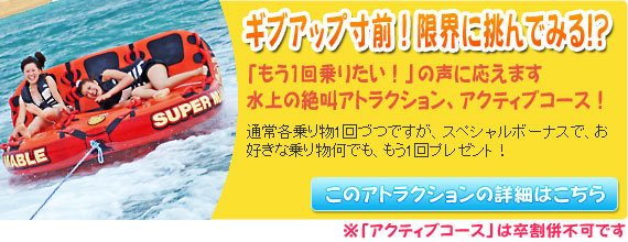 マリンスポーツフルコース　お好きな乗り物もう1回