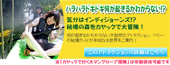 マングローブカヤック　もっと大冒険