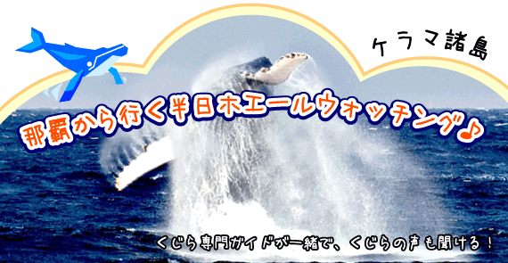 沖縄でホエールウォッチング