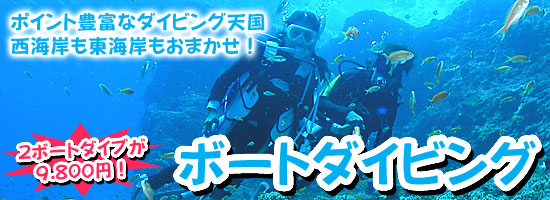 ボートダイビング　西海岸も東海岸もおまかせください、ポイント豊富なダイビング天国！