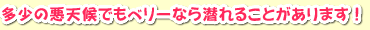 多少の悪天候でもベリーなら潜れることがあります！