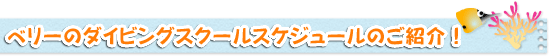 ベリーのダイビングスクールスケジュールご紹介！