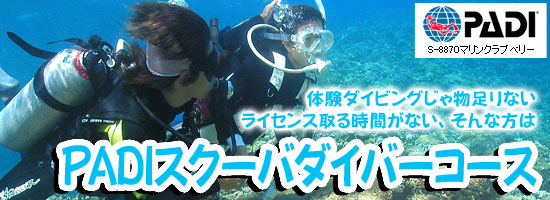 PADIスクーバダイバーコース