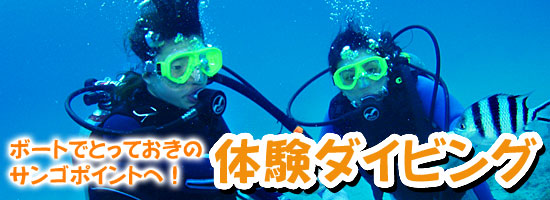 体験ダイビング　ボートでとっておきのポイントへ！