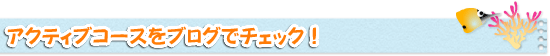 アクティブコースをブログでチェック！
