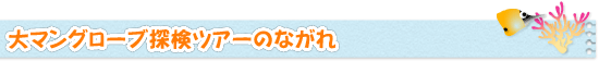 マングローブツアーのながれ！