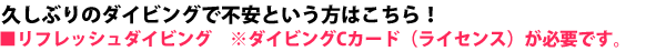 リフレッシュダイビング