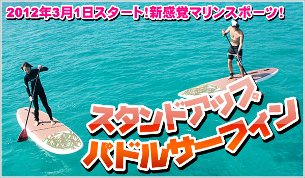 スタンドアップパドルサーフィン